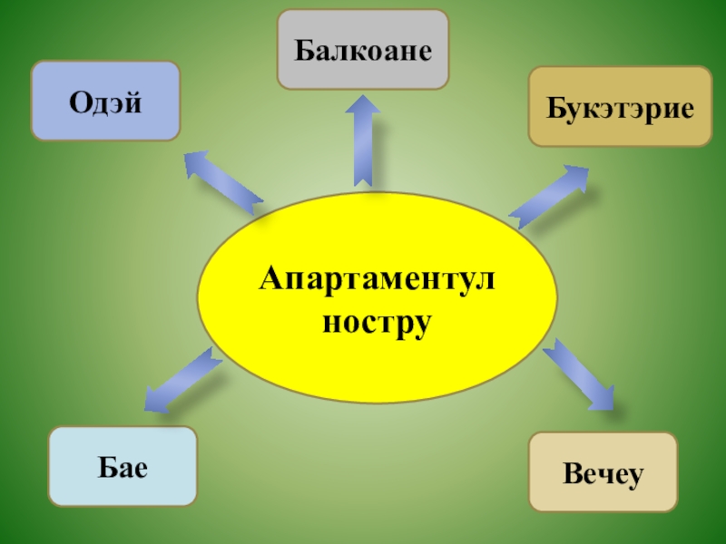 Апартаментул ноструОдэйБаеВечеуБукэтэриеБалкоане