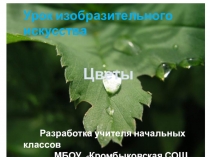 Презентация по изобразительному искусству Цветы