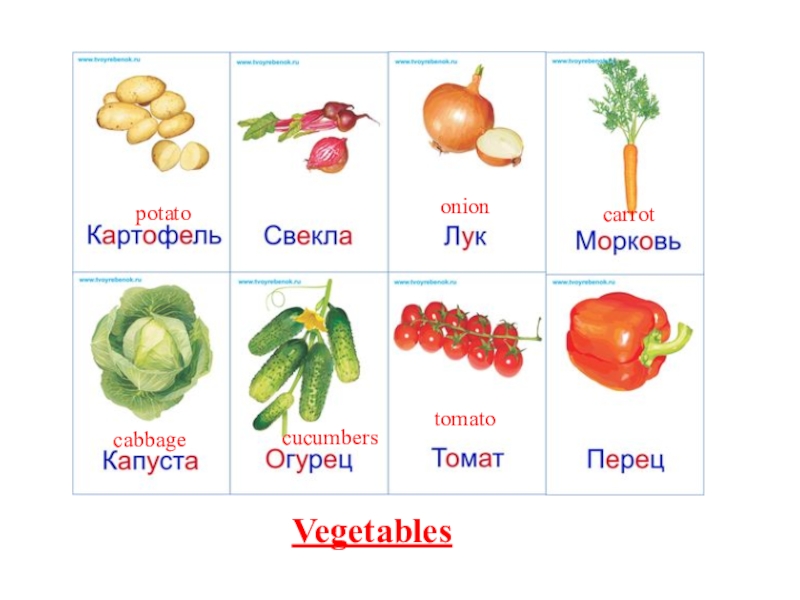 Овощи фото с названиями для детей