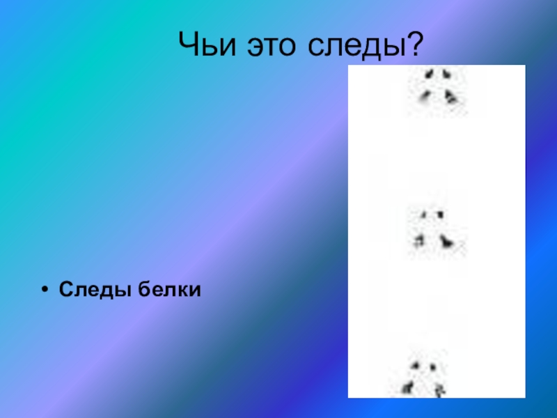 Что значит белок следы