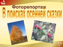 Презентация Фоторепортаж В поисках осенней сказки (осенняя экскурсия, окружающий мир 2 класс)