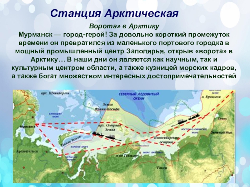 Проект ворота арктики