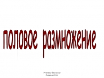Презентация по биологии на тему Половое размножение