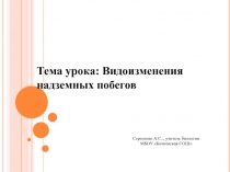 Презентация по теме Видоизменение наземных побегов 6 класс