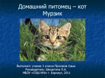 Презентация Домашний питомец- кот Мурзик