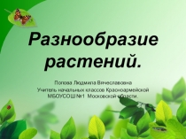 Презентация по окружающему миру Разнообразие растений