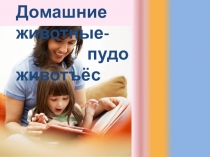 Домашние животные - пудоживотъёс