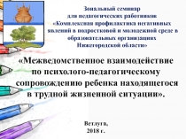 Презентация Организация работы классного руководителя по психолого-педагогической поддержке ребенка, находящегося в трудной жизненной ситуации