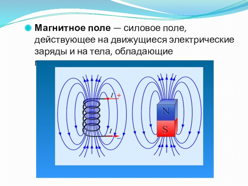 Магнитным полем обладает