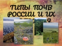 Презентация по географии на тему Типы почв России и их география (8 класс)
