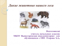 Презентация по живому миру Дикие обитатели нашего леса