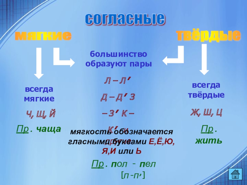 Адекватный твердый или мягкий. Х твердая и мягкая. Х всегда мягкая или твёрдая.