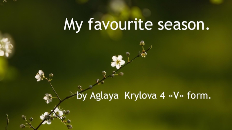 Презентация обучающейся 4 класса по английскому языку по теме Мое любимое время года - весна