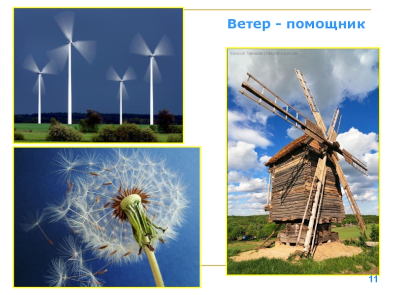 Окружающий мир тема ветер. Ветер. Изображение ветра. Картинки на тему ветер. Изображение ветра в картинках.