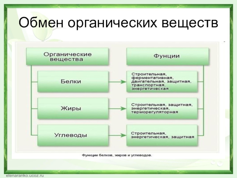 Обмен части. Обмен органика.