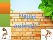 Презентация к уроку Wild animals