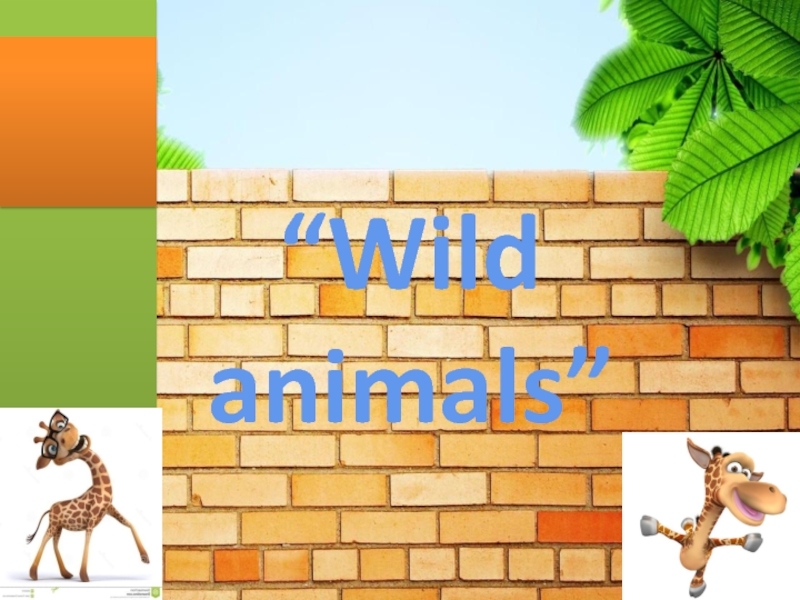 Презентация Презентация к уроку Wild animals
