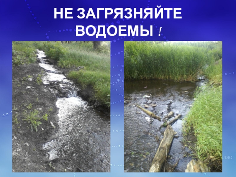 Виды загрязнения водоемов