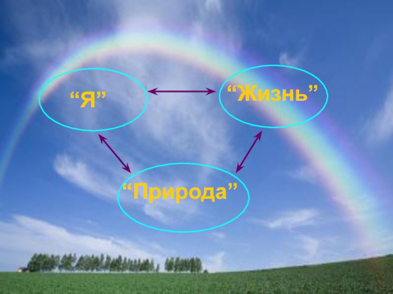 Презентация жизнь природы. Природа не прощает ошибок. Классный час по теме природа не прощает ошибок. Природа не прощает ошибок презентация. Природа не прощает ошибок картинки.