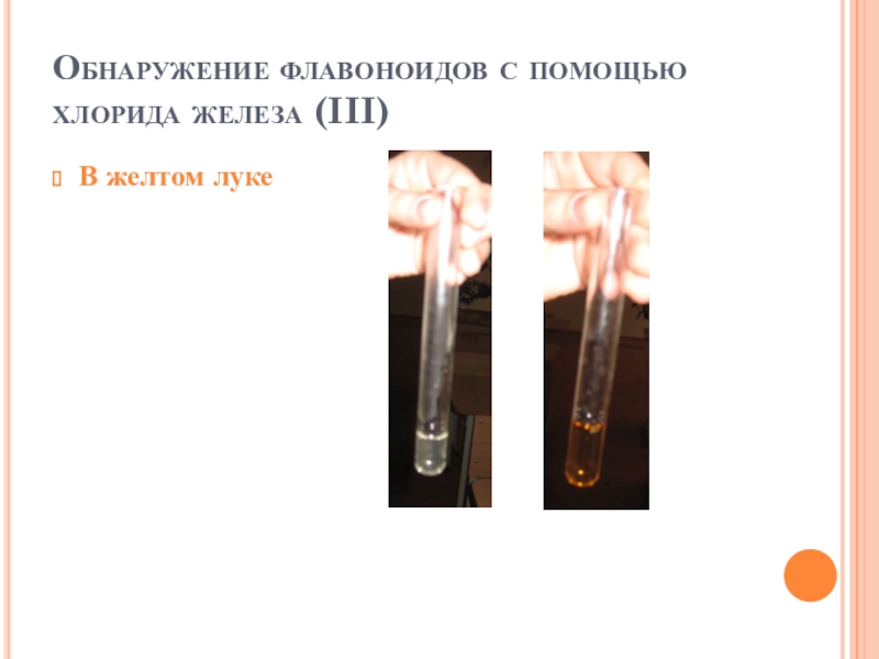 Хлорид железа 2 класс соединения. Флавоноиды с хлоридом железа. Обнаружение фенола с помощью хлорида железа 3. Реакция обнаружения флавоноидов с хлоридом железа 3. Реакция флавоноиды с хлоридом железа (III).