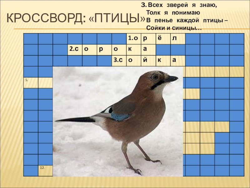 Птица на букву букв сканворд. Кроссворд на Птичке. Кроссворды из пяти птиц. Птица из сканворда. Кроссворд птицы 1 класс.