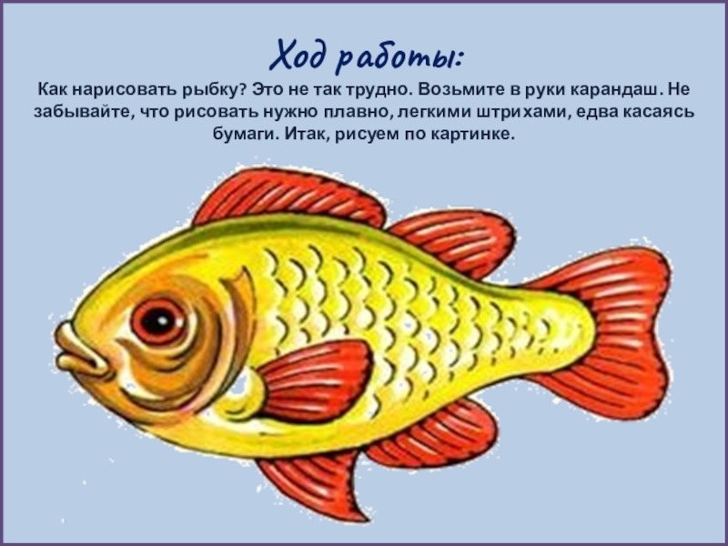 1 класс изо красивые рыбы. Рисование рыб презентация. Рисование рыбки 1 класс. Рыбка презентация по изо. Изо 1 класс рыбка.