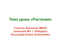 Растения