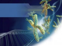 Презентация по биологии на тему Дигибридное скрещивание