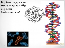 Презеентация по биологии на тему Роль ДНК
