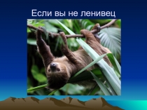 Презентация для воспитателей Профилактика эмоционального выгорания