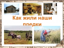 Как жили наши предки