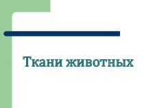 Презентация по биологии на тему Ткани животных