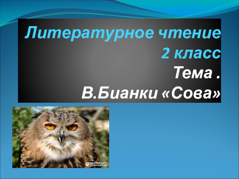 Литературное чтение 2 класс Тема . В.Бианки «Сова»