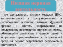 Презентация по возрастной анатомии, физиологии и гигиене на тему: Низшая и высшая нервная деятельность