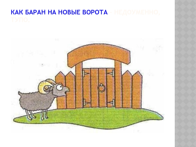 Картинка бараны и ворота