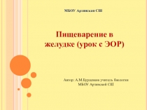 Презентация по биологии на тему Пищеварение в желудке (8 класс)