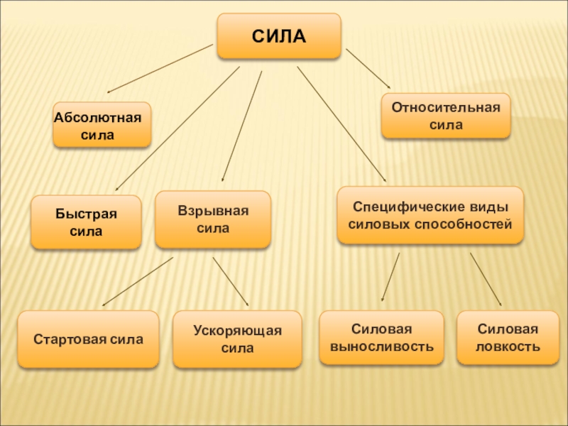 Абсолютная сила определить. Абсолютная и Относительная сила. Абсолютная сила и Относительная сила. Сила это в физической культуре. Виды динамической силы.