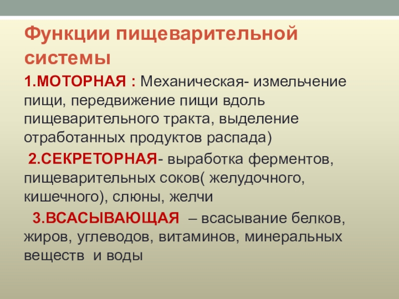 Секреторная и пищеварительная функция. Функции пищеварительной функции. 4 функции пищеварительной системы. Перечислить функции всех отделов пищеварительной системы. Каковы основные функции системы пищеварения.