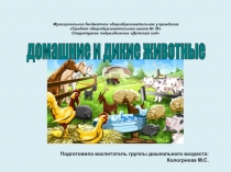 Викторина Дикие и домашние животные