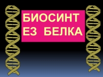 Презентация по теме: Реализация наследственной информации в клетке