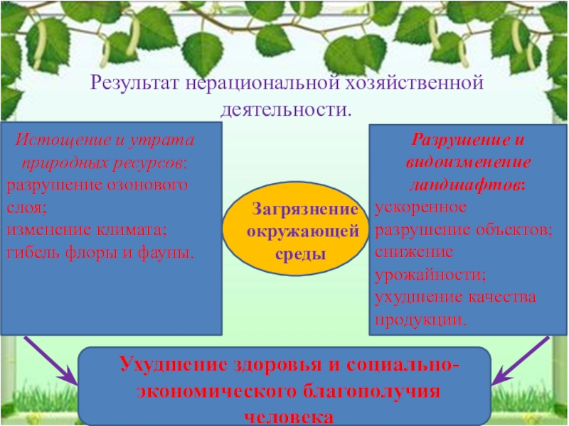 План мероприятий от пагубных последствий хозяйственной деятельности людей по охране природы