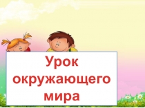 Презентация окружающего мира по теме: Питание и здоровье 2 класс. ПНШ.