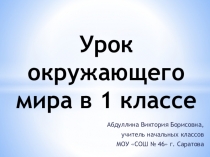 Презентация к уроку окружающего мира Кто как готовится к зиме (1 класс)