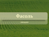 Презенатции по биологии на тему Значение бобовых. Фасоль овощная (6 класс)