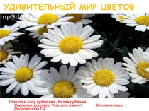 Удивительный мир цветов