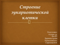 Презентация по биологии на тему Строение эукариотической клетки