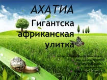 Презентация по ознакомлению с миром природы