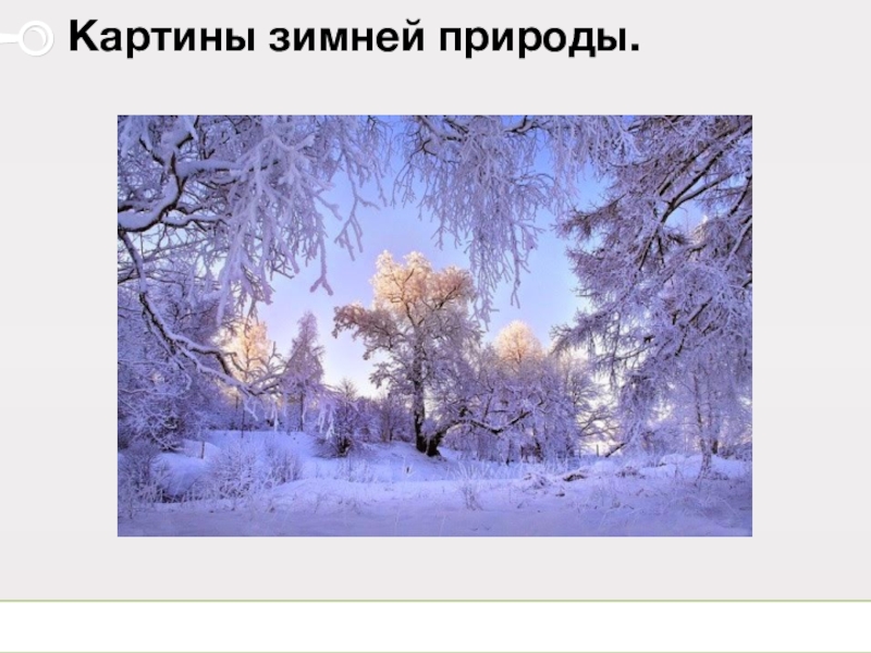 Изменения зима. Зима изменения в природе. Сезонные изменения в природе зимой. Картинки изменения в природе зимой. Урок зима изменения в природе.