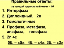 Презентация по биологии к уроку Мейоз