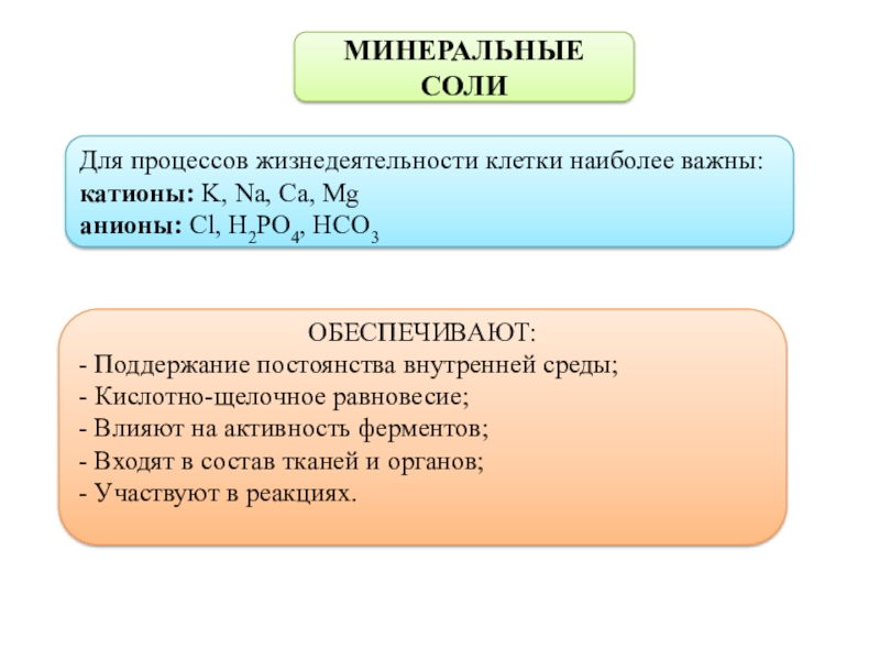 Минеральные соли функции. Роль Минеральных солей в жизнедеятельности клетки. Структура и функции Минеральных солей в клетке. Роль Минеральных солей в процессах жизнедеятельности клетки. Для процессов жизнедеятельности клетки наиболее важны катионы.